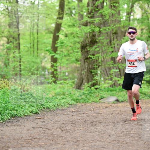 19.04.2026 - Hammer Lauf Dr. Thomas Lammeyer http://msf.ph/oto/9555004 19.04.2026 12:34:08 Laufen  meine-sportfotos.de