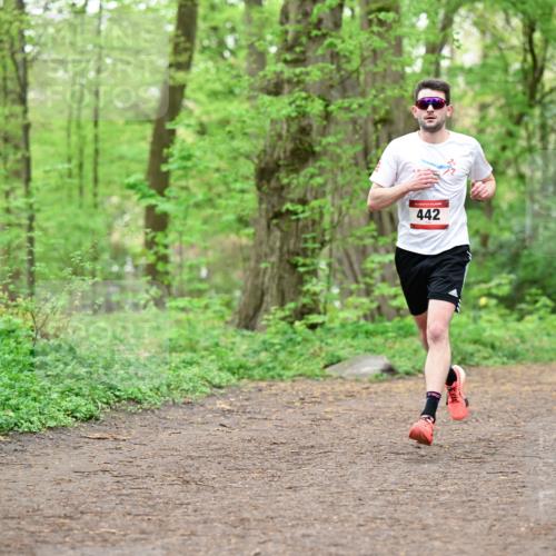 19.04.2026 - Hammer Lauf Dr. Thomas Lammeyer http://msf.ph/oto/9555006 19.04.2026 12:34:09 Laufen 442 meine-sportfotos.de