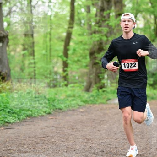 19.04.2026 - Hammer Lauf Dr. Thomas Lammeyer http://msf.ph/oto/9555066 19.04.2026 12:34:23 Laufen 1022 meine-sportfotos.de
