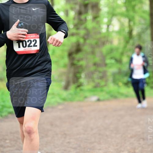 19.04.2026 - Hammer Lauf Dr. Thomas Lammeyer http://msf.ph/oto/9555068 19.04.2026 12:34:24 Laufen  meine-sportfotos.de