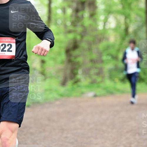 19.04.2026 - Hammer Lauf Dr. Thomas Lammeyer http://msf.ph/oto/9555069 19.04.2026 12:34:24 Laufen 022 meine-sportfotos.de