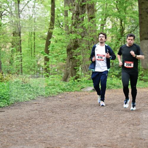19.04.2026 - Hammer Lauf Dr. Thomas Lammeyer http://msf.ph/oto/9555073 19.04.2026 12:34:26 Laufen 636, 208 meine-sportfotos.de