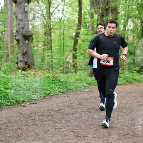 19.04.2026 - Hammer Lauf Dr. Thomas Lammeyer http://msf.ph/oto/9555079 19.04.2026 12:34:27 Laufen 208 meine-sportfotos.de