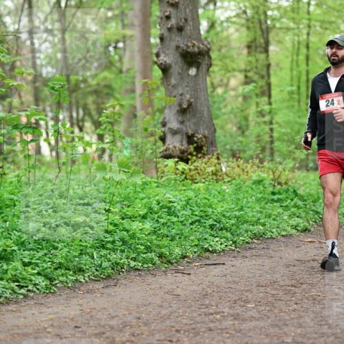 19.04.2026 - Hammer Lauf Dr. Thomas Lammeyer http://msf.ph/oto/9555099 19.04.2026 12:34:33 Laufen  meine-sportfotos.de