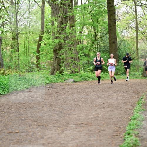 19.04.2026 - Hammer Lauf Dr. Thomas Lammeyer http://msf.ph/oto/9555114 19.04.2026 12:34:41 Laufen  meine-sportfotos.de