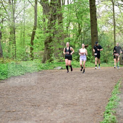 19.04.2026 - Hammer Lauf Dr. Thomas Lammeyer http://msf.ph/oto/9555117 19.04.2026 12:34:42 Laufen 987, 1096, 145 meine-sportfotos.de
