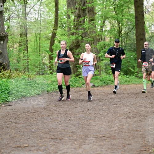 19.04.2026 - Hammer Lauf Dr. Thomas Lammeyer http://msf.ph/oto/9555124 19.04.2026 12:34:44 Laufen 987, 1096, 345, 145, 562 meine-sportfotos.de