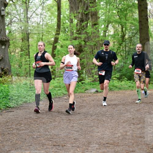19.04.2026 - Hammer Lauf Dr. Thomas Lammeyer http://msf.ph/oto/9555128 19.04.2026 12:34:45 Laufen 1096, 562, 345, 145 meine-sportfotos.de