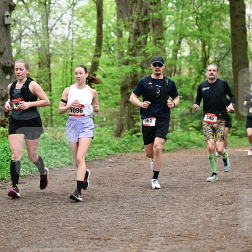 19.04.2026 - Hammer Lauf Dr. Thomas Lammeyer http://msf.ph/oto/9555133 19.04.2026 12:34:46 Laufen 1096, 562, 345, 145 meine-sportfotos.de