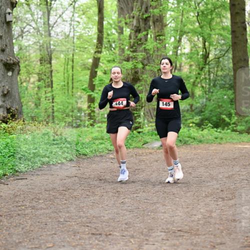 19.04.2026 - Hammer Lauf Dr. Thomas Lammeyer http://msf.ph/oto/9555152 19.04.2026 12:34:49 Laufen 145 meine-sportfotos.de