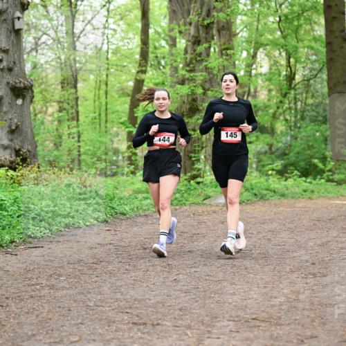 19.04.2026 - Hammer Lauf Dr. Thomas Lammeyer http://msf.ph/oto/9555153 19.04.2026 12:34:49 Laufen 144, 145 meine-sportfotos.de