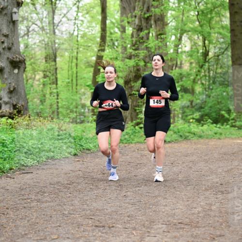 19.04.2026 - Hammer Lauf Dr. Thomas Lammeyer http://msf.ph/oto/9555154 19.04.2026 12:34:49 Laufen 145 meine-sportfotos.de