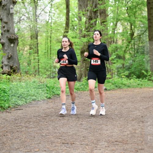 19.04.2026 - Hammer Lauf Dr. Thomas Lammeyer http://msf.ph/oto/9555155 19.04.2026 12:34:49 Laufen 145 meine-sportfotos.de