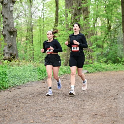 19.04.2026 - Hammer Lauf Dr. Thomas Lammeyer http://msf.ph/oto/9555156 19.04.2026 12:34:50 Laufen 145 meine-sportfotos.de