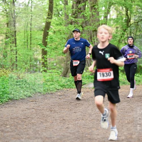 19.04.2026 - Hammer Lauf Dr. Thomas Lammeyer http://msf.ph/oto/9555195 19.04.2026 12:35:08 Laufen 2025, 150, 1930, 507 meine-sportfotos.de