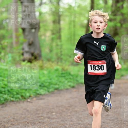 19.04.2026 - Hammer Lauf Dr. Thomas Lammeyer http://msf.ph/oto/9555201 19.04.2026 12:35:09 Laufen 1930 meine-sportfotos.de