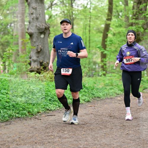 19.04.2026 - Hammer Lauf Dr. Thomas Lammeyer http://msf.ph/oto/9555206 19.04.2026 12:35:10 Laufen 2025, 150, 507 meine-sportfotos.de