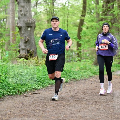19.04.2026 - Hammer Lauf Dr. Thomas Lammeyer http://msf.ph/oto/9555207 19.04.2026 12:35:10 Laufen 2025, 507, 150 meine-sportfotos.de
