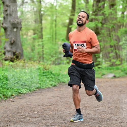 19.04.2026 - Hammer Lauf Dr. Thomas Lammeyer http://msf.ph/oto/9555293 19.04.2026 12:35:33 Laufen 1593 meine-sportfotos.de