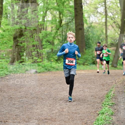 19.04.2026 - Hammer Lauf Dr. Thomas Lammeyer http://msf.ph/oto/9555308 19.04.2026 12:35:39 Laufen 306 meine-sportfotos.de