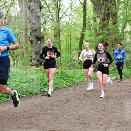 19.04.2026 - Hammer Lauf Dr. Thomas Lammeyer http://msf.ph/oto/9555357 19.04.2026 12:35:51 Laufen 304, 513, 514, 1151, 674 meine-sportfotos.de