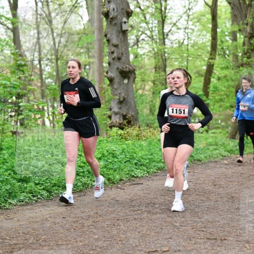 19.04.2026 - Hammer Lauf Dr. Thomas Lammeyer http://msf.ph/oto/9555366 19.04.2026 12:35:52 Laufen 1151 meine-sportfotos.de