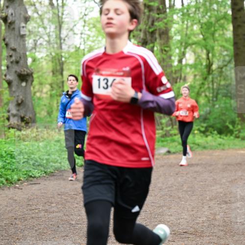 19.04.2026 - Hammer Lauf Dr. Thomas Lammeyer http://msf.ph/oto/9555375 19.04.2026 12:35:54 Laufen  meine-sportfotos.de