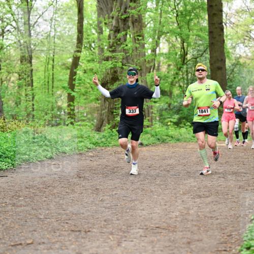19.04.2026 - Hammer Lauf Dr. Thomas Lammeyer http://msf.ph/oto/9555402 19.04.2026 12:36:01 Laufen 333, 1841, 407, 617 meine-sportfotos.de