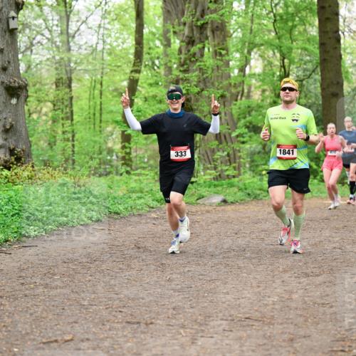 19.04.2026 - Hammer Lauf Dr. Thomas Lammeyer http://msf.ph/oto/9555405 19.04.2026 12:36:01 Laufen 333, 1841, 407, 597 meine-sportfotos.de