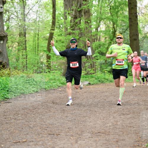 19.04.2026 - Hammer Lauf Dr. Thomas Lammeyer http://msf.ph/oto/9555406 19.04.2026 12:36:01 Laufen 333, 1841, 537 meine-sportfotos.de