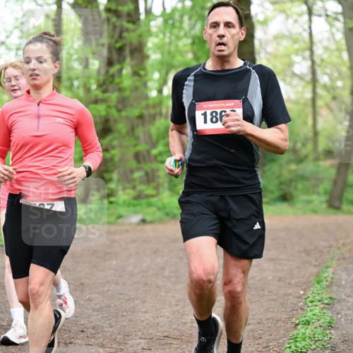 19.04.2026 - Hammer Lauf Dr. Thomas Lammeyer http://msf.ph/oto/9555438 19.04.2026 12:36:07 Laufen 186 meine-sportfotos.de