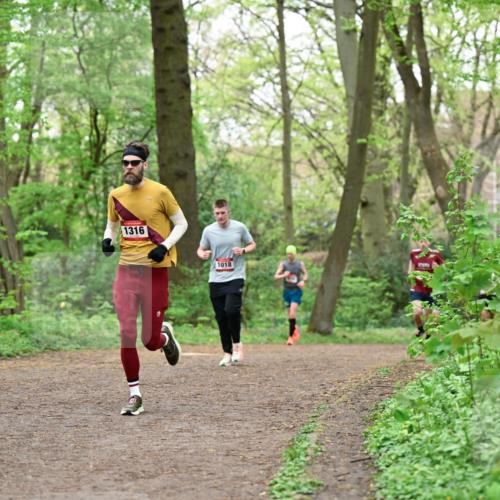 19.04.2026 - Hammer Lauf Dr. Thomas Lammeyer http://msf.ph/oto/9555493 19.04.2026 12:36:27 Laufen 1316, 1018 meine-sportfotos.de