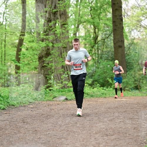 19.04.2026 - Hammer Lauf Dr. Thomas Lammeyer http://msf.ph/oto/9555517 19.04.2026 12:36:30 Laufen 1018, 1817, 126 meine-sportfotos.de
