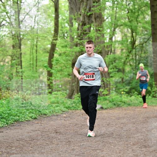 19.04.2026 - Hammer Lauf Dr. Thomas Lammeyer http://msf.ph/oto/9555532 19.04.2026 12:36:31 Laufen 1018, 1817 meine-sportfotos.de