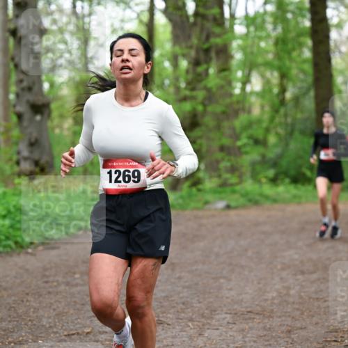 19.04.2026 - Hammer Lauf Dr. Thomas Lammeyer http://msf.ph/oto/9555585 19.04.2026 12:36:39 Laufen 1269 meine-sportfotos.de