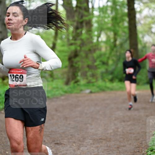 19.04.2026 - Hammer Lauf Dr. Thomas Lammeyer http://msf.ph/oto/9555592 19.04.2026 12:36:39 Laufen 1269 meine-sportfotos.de