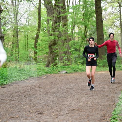 19.04.2026 - Hammer Lauf Dr. Thomas Lammeyer http://msf.ph/oto/9555594 19.04.2026 12:36:40 Laufen 564 meine-sportfotos.de