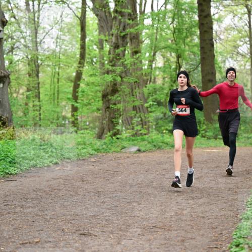 19.04.2026 - Hammer Lauf Dr. Thomas Lammeyer http://msf.ph/oto/9555596 19.04.2026 12:36:40 Laufen 564 meine-sportfotos.de