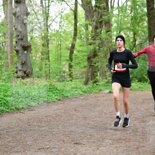 19.04.2026 - Hammer Lauf Dr. Thomas Lammeyer http://msf.ph/oto/9555603 19.04.2026 12:36:40 Laufen  meine-sportfotos.de