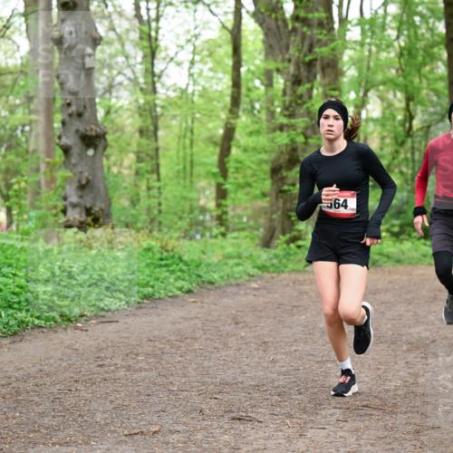 19.04.2026 - Hammer Lauf Dr. Thomas Lammeyer http://msf.ph/oto/9555608 19.04.2026 12:36:41 Laufen 564 meine-sportfotos.de