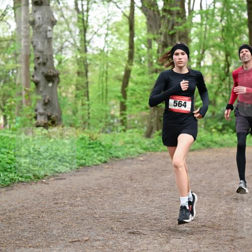 19.04.2026 - Hammer Lauf Dr. Thomas Lammeyer http://msf.ph/oto/9555609 19.04.2026 12:36:41 Laufen 564 meine-sportfotos.de
