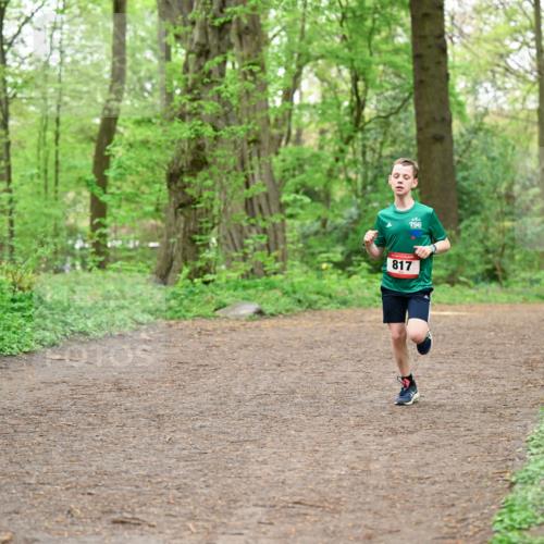 19.04.2026 - Hammer Lauf Dr. Thomas Lammeyer http://msf.ph/oto/9555618 19.04.2026 12:36:46 Laufen 817 meine-sportfotos.de