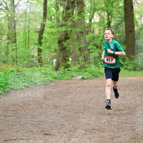 19.04.2026 - Hammer Lauf Dr. Thomas Lammeyer http://msf.ph/oto/9555627 19.04.2026 12:36:46 Laufen 817 meine-sportfotos.de