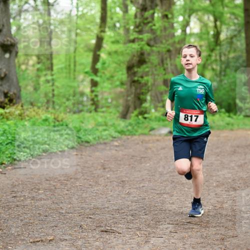 19.04.2026 - Hammer Lauf Dr. Thomas Lammeyer http://msf.ph/oto/9555629 19.04.2026 12:36:47 Laufen 817 meine-sportfotos.de