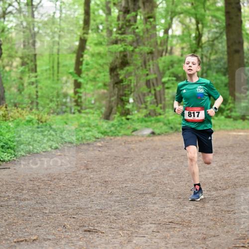 19.04.2026 - Hammer Lauf Dr. Thomas Lammeyer http://msf.ph/oto/9555630 19.04.2026 12:36:47 Laufen 817 meine-sportfotos.de