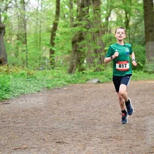 19.04.2026 - Hammer Lauf Dr. Thomas Lammeyer http://msf.ph/oto/9555632 19.04.2026 12:36:47 Laufen 817 meine-sportfotos.de