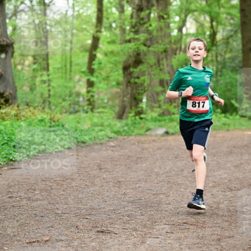 19.04.2026 - Hammer Lauf Dr. Thomas Lammeyer http://msf.ph/oto/9555633 19.04.2026 12:36:47 Laufen 817 meine-sportfotos.de