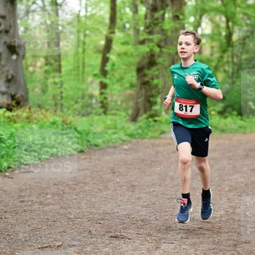19.04.2026 - Hammer Lauf Dr. Thomas Lammeyer http://msf.ph/oto/9555635 19.04.2026 12:36:47 Laufen 817 meine-sportfotos.de