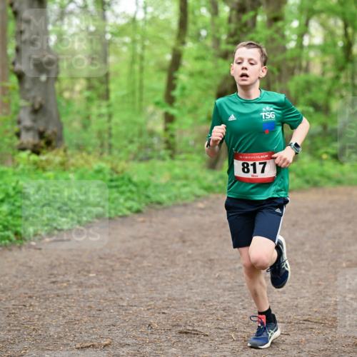 19.04.2026 - Hammer Lauf Dr. Thomas Lammeyer http://msf.ph/oto/9555638 19.04.2026 12:36:47 Laufen 817 meine-sportfotos.de
