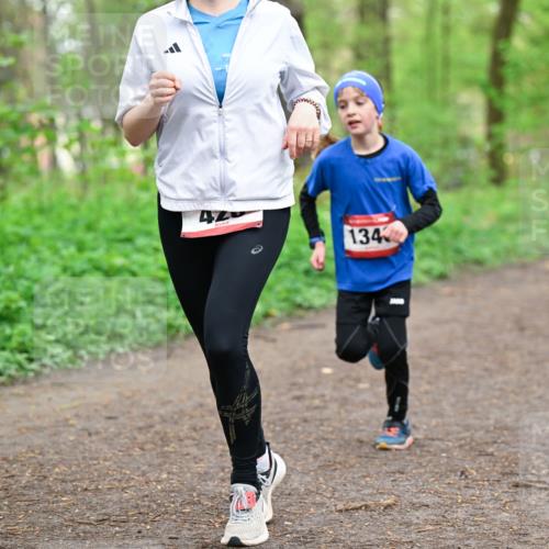 19.04.2026 - Hammer Lauf Dr. Thomas Lammeyer http://msf.ph/oto/9555702 19.04.2026 12:37:00 Laufen 717, 134 meine-sportfotos.de